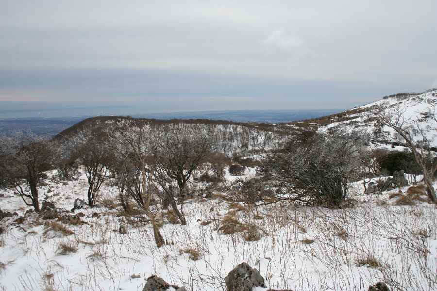 新雪が積もり白い山頂台地から伊勢湾を望む。
