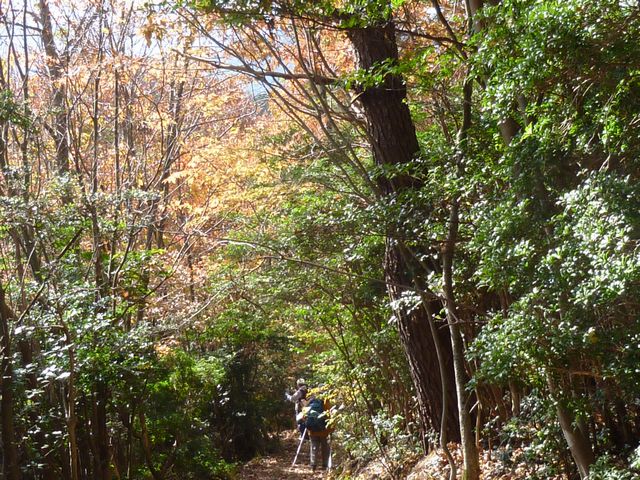 登山口近くの登山道と紅葉。