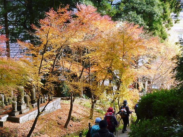 木之本側の登山口付近の紅葉。