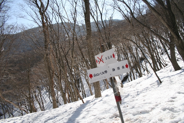 登山口への道標。