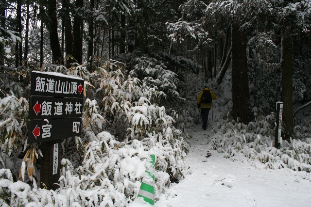 林道から登山道らしき雪道へ入って行く。