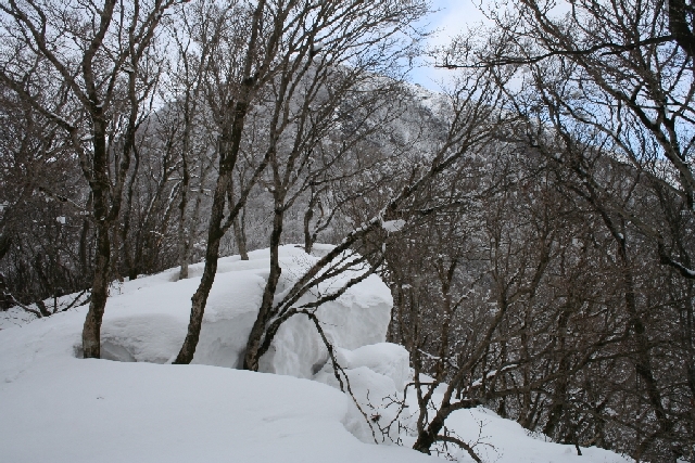 稜線の雪庇、後方は藤原岳。