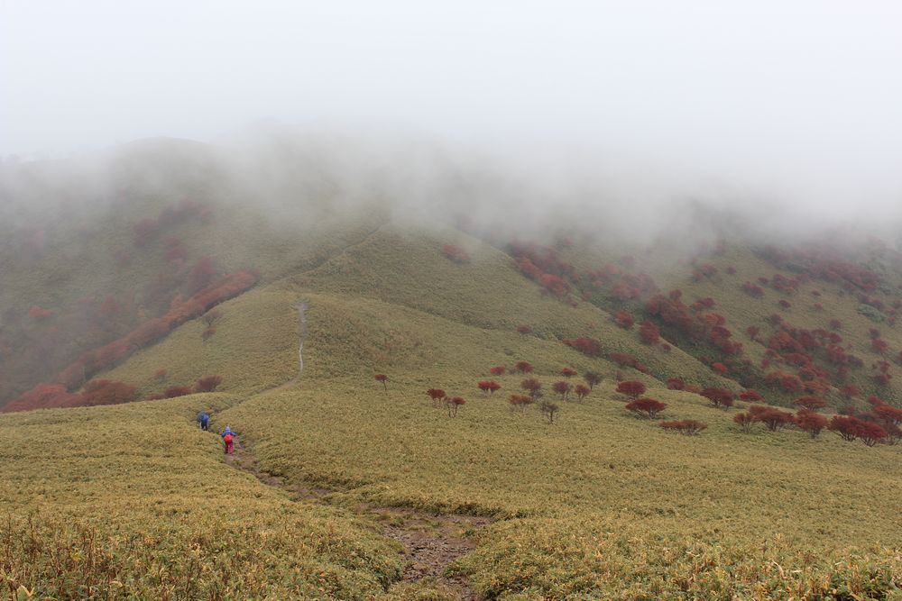 竜ヶ岳山頂を下り始めると霧が吹き飛ばされる。