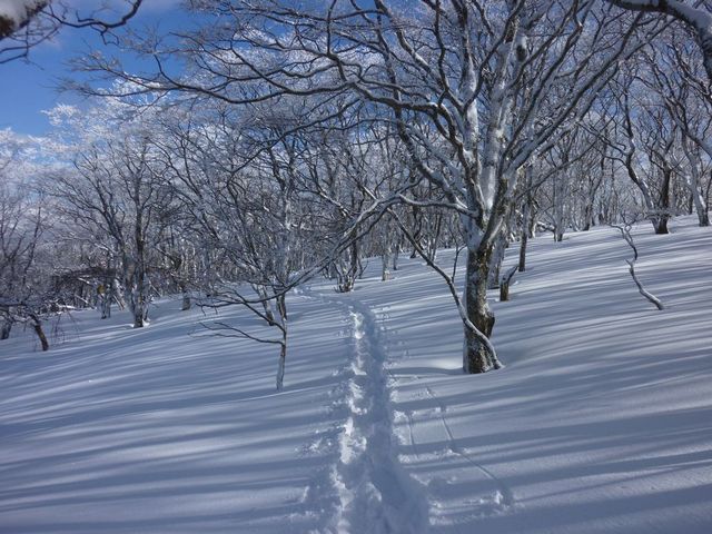 歩いた雪道。
