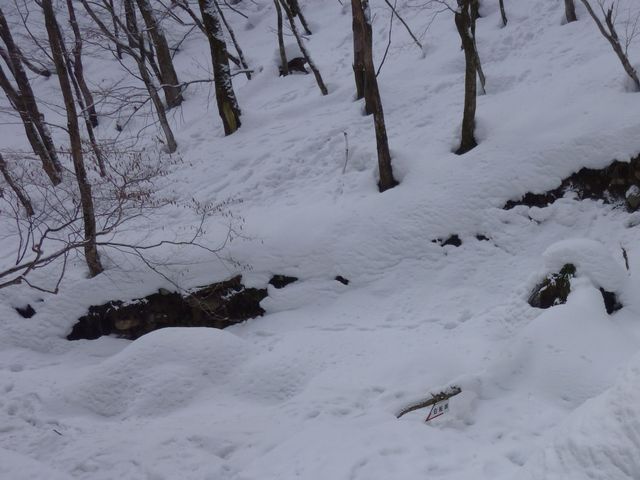真の谷、白船峠への道標が雪の中に見える。
