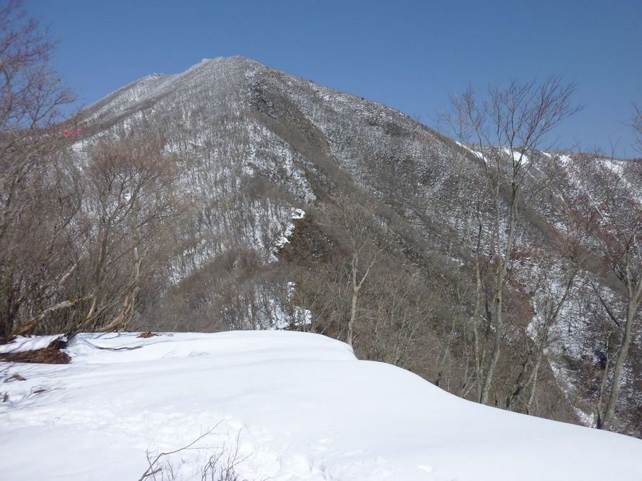 多志田山を越えてから藤原岳を望む。