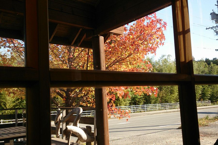喫茶店の中から窓越に紅葉。