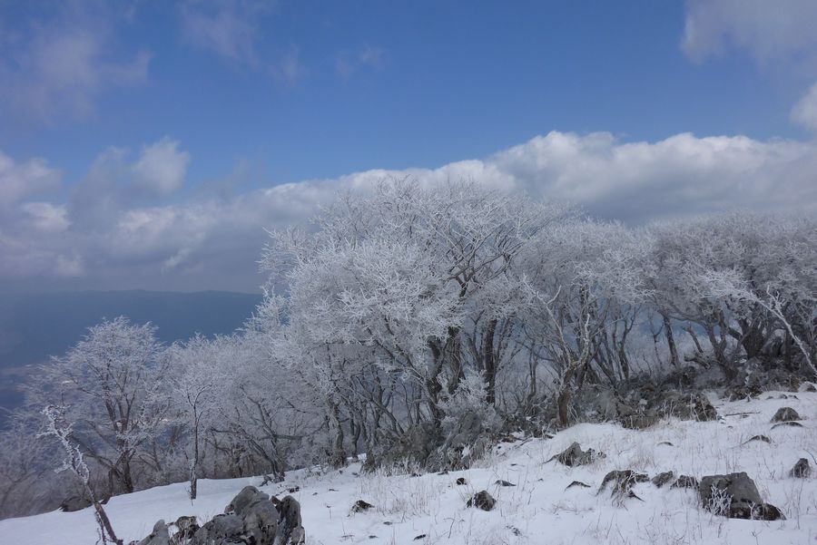 藤原岳の樹氷晴れ間が覗く。